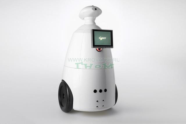 Видеоняня робот R.BOT 100